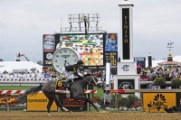 Oxbow upsets Orb in Preakness
